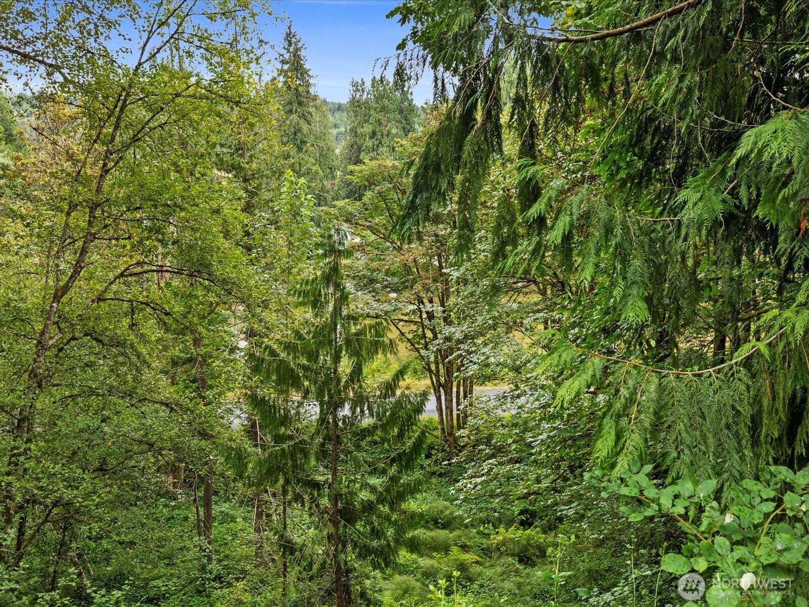 17710 Chappel Road Arlington, WA 98223 - Photo 24 of 40 Gallery Image 24