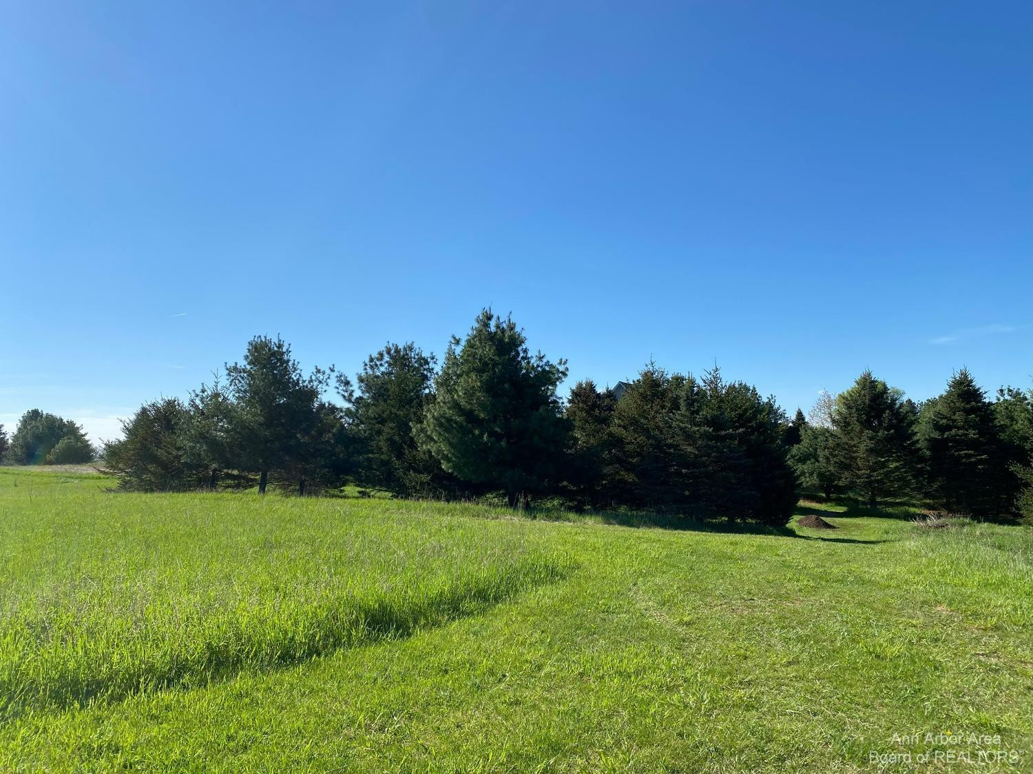 0 Sylvan Road Grass Lake, MI 49240 - Photo 9 of 11 Photo 9