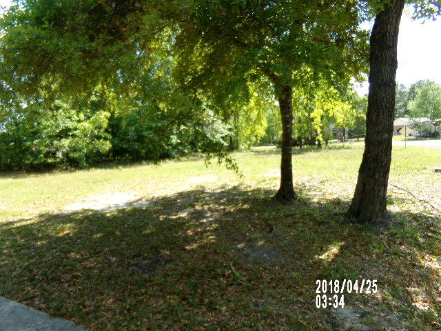 42 State Rd S-15-774 Walterboro, SC 29488 - Photo 10 of 15 007