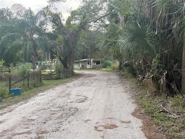 a view of a yard with plants and trees