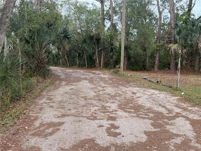 a view of a yard with trees