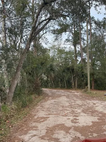 a backyard of a house with lots of trees