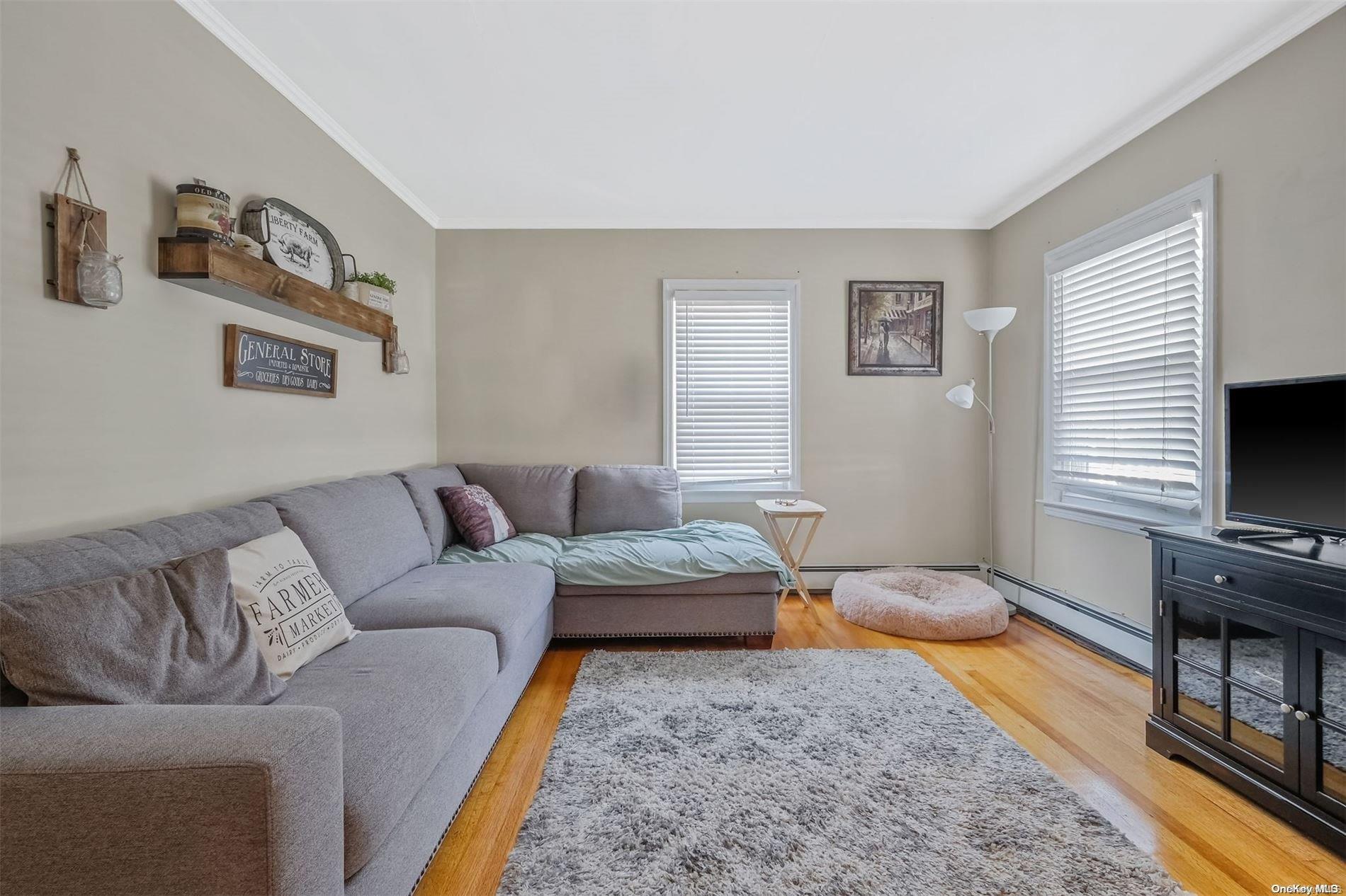 149 Rule Street Franklin Square, NY 11010 - Photo 9 of 33