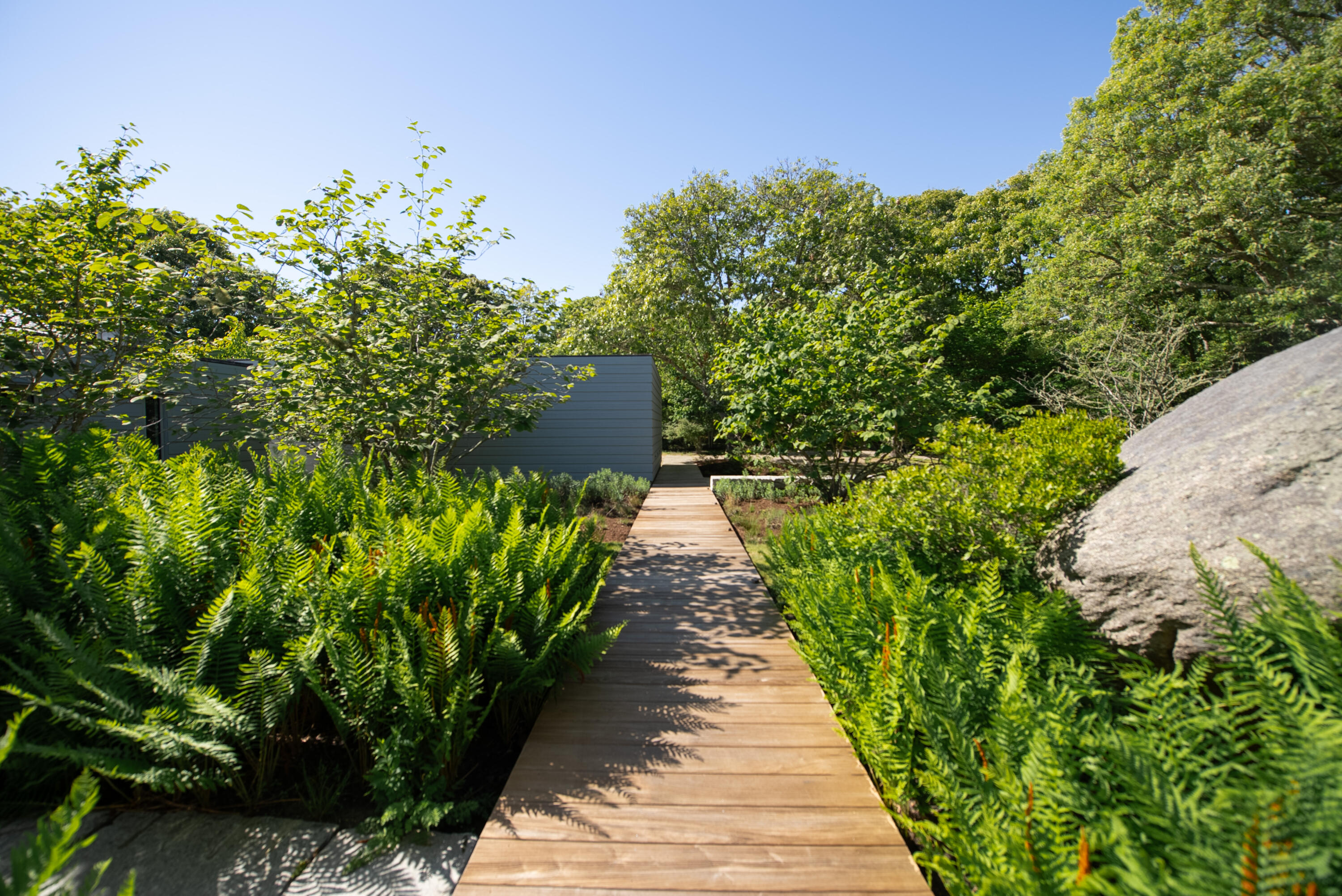 8 Snail Road Chilmark, MA 02535 - Photo 25 of 31 DSC08564 2.ARW