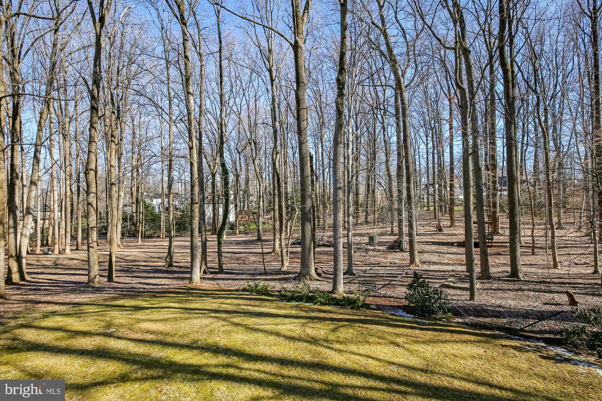 809 Balls Hill Road McLean, VA 22101 - Photo 52 of 55