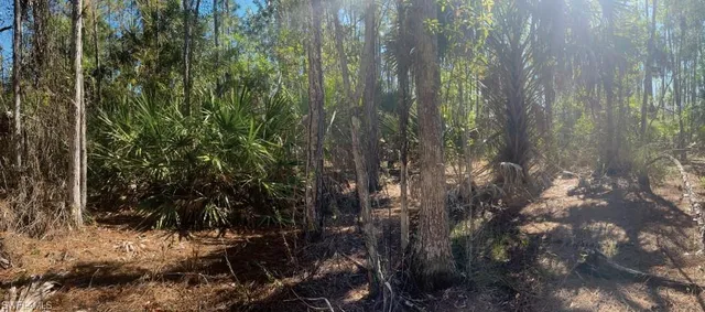 $45,900 | 4361 4th Avenue Northeast, Naples, FL 34120