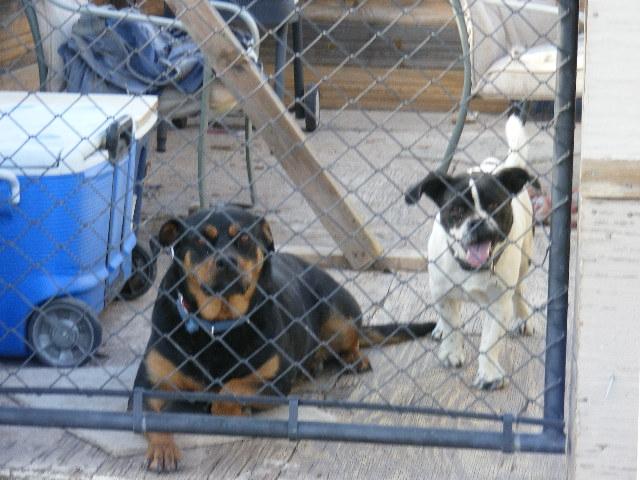 1 8241st Concho, AZ 85924 - Photo 13 of 66