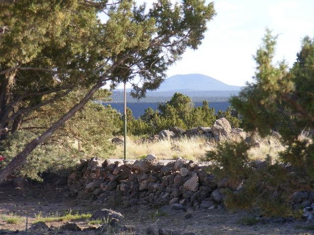 1 8241st Concho, AZ 85924 - Photo 17 of 66