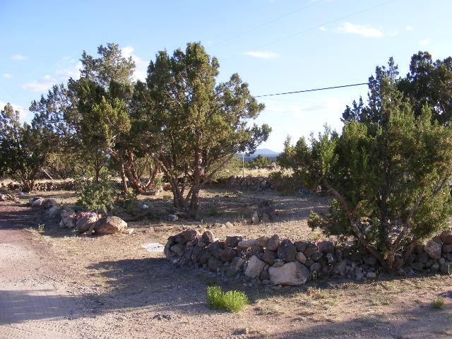 1 8241st Concho, AZ 85924 - Photo 18 of 66