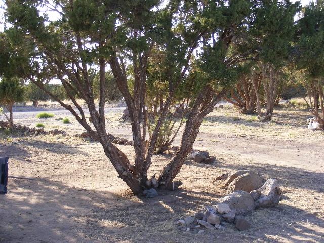 1 8241st Concho, AZ 85924 - Photo 20 of 66