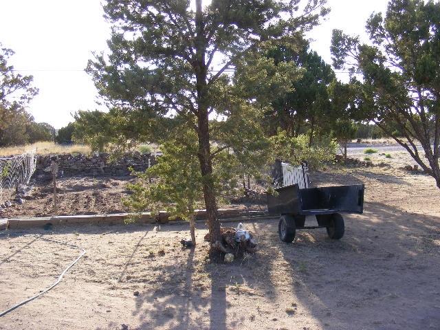 1 8241st Concho, AZ 85924 - Photo 21 of 66