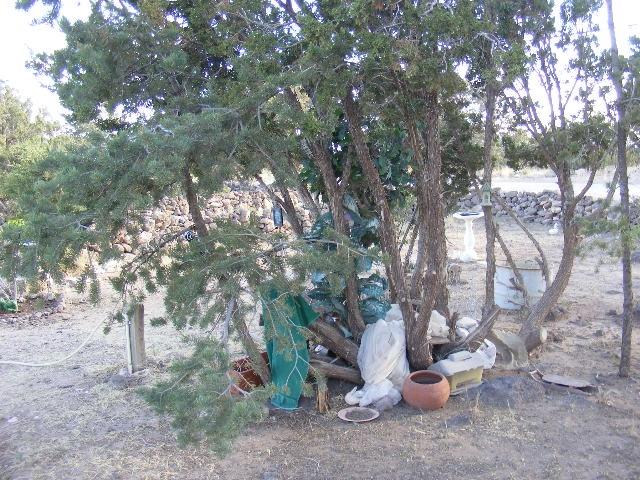 1 8241st Concho, AZ 85924 - Photo 22 of 66