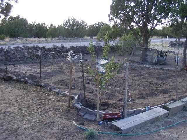 1 8241st Concho, AZ 85924 - Photo 24 of 66
