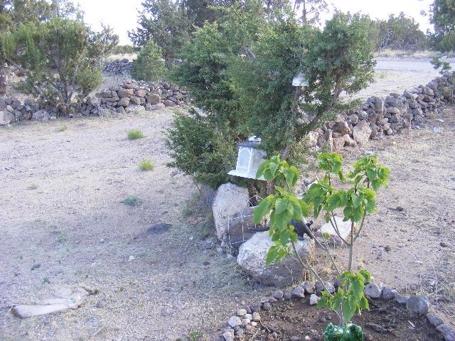 1 8241st Concho, AZ 85924 - Photo 27 of 66