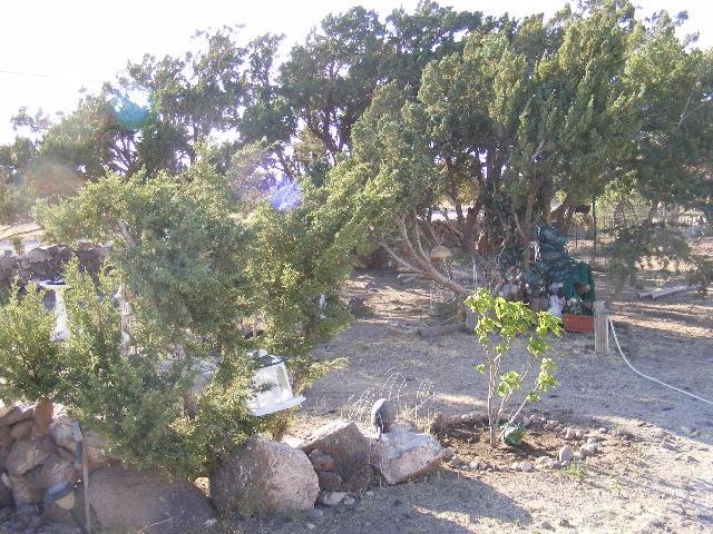 1 8241st Concho, AZ 85924 - Photo 30 of 66