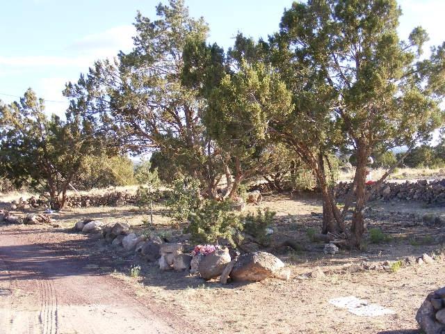 1 8241st Concho, AZ 85924 - Photo 33 of 66