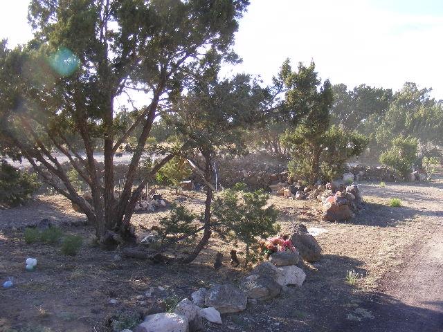 1 8241st Concho, AZ 85924 - Photo 36 of 66