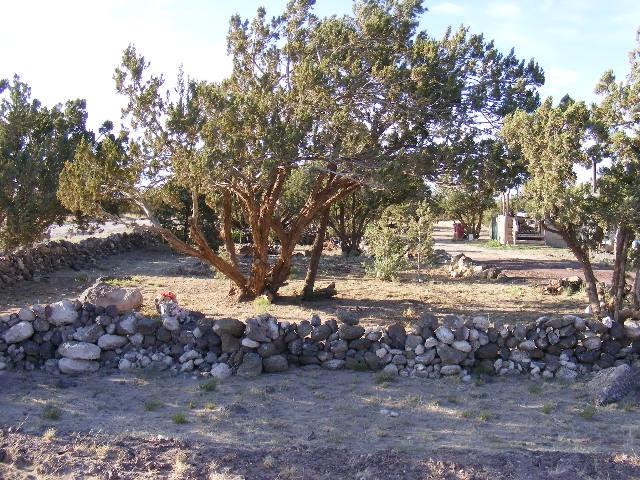 1 8241st Concho, AZ 85924 - Photo 46 of 66