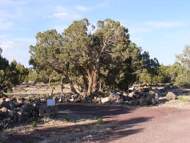 1 8241st Concho, AZ 85924 - Photo 47 of 66