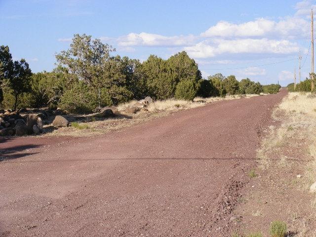 1 8241st Concho, AZ 85924 - Photo 50 of 66