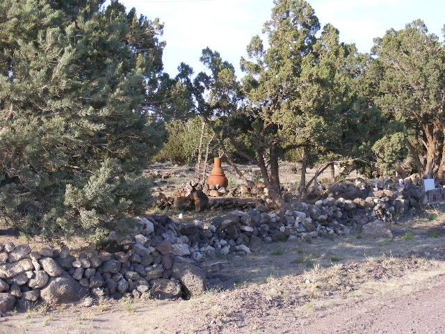 1 8241st Concho, AZ 85924 - Photo 52 of 66