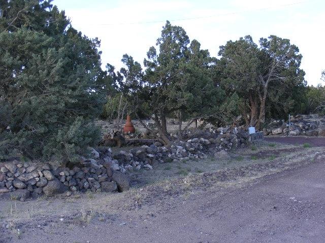 1 8241st Concho, AZ 85924 - Photo 53 of 66