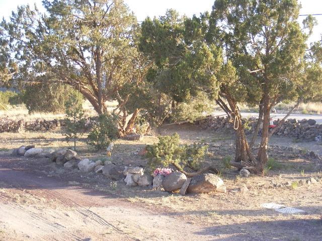 1 8241st Concho, AZ 85924 - Photo 9 of 66