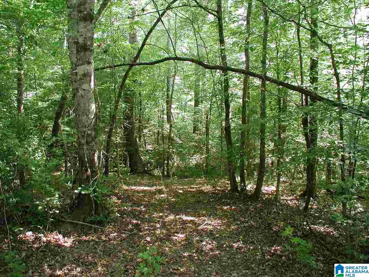 0 Macedonia Road, Unit 1 Sylacauga, AL 35150 - Photo 2 of 8
