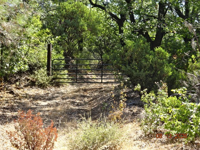 0 Lookout Mountain Road Oak Run, CA 96069 - Photo 18 of 23 Gallery Image 18