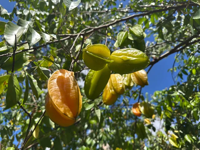 $530,000 | 15-1768 26th Avenue, Keaau, HI 96749