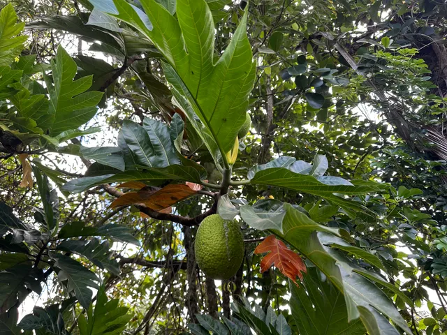 $530,000 | 15-1768 26th Avenue, Keaau, HI 96749