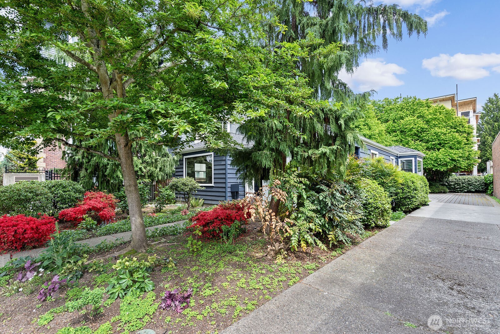 116 Williams Avenue South Renton, WA 98057 - Photo 5 of 37 a view of a garden with a flower garden