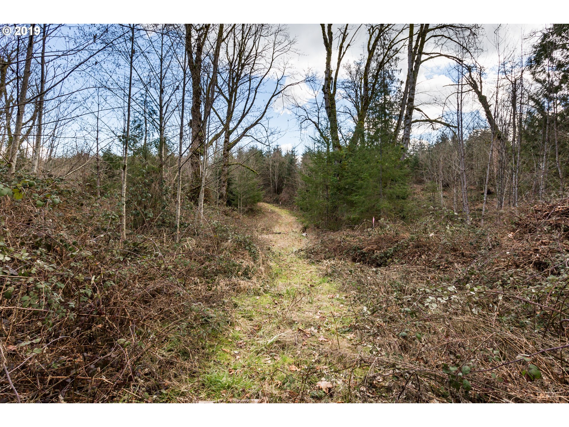 0 Neer City Road Rainier, OR 97048 - Photo 2 of 13