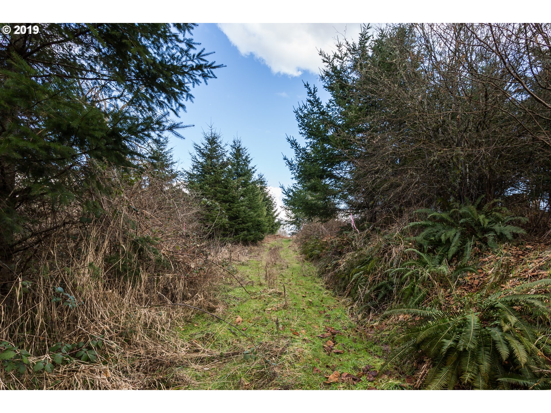 0 Neer City Road Rainier, OR 97048 - Photo 3 of 13