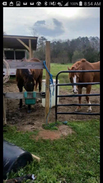 14143 Baptist Ball Park Road Stapleton, AL 36578 - Photo 13 of 21