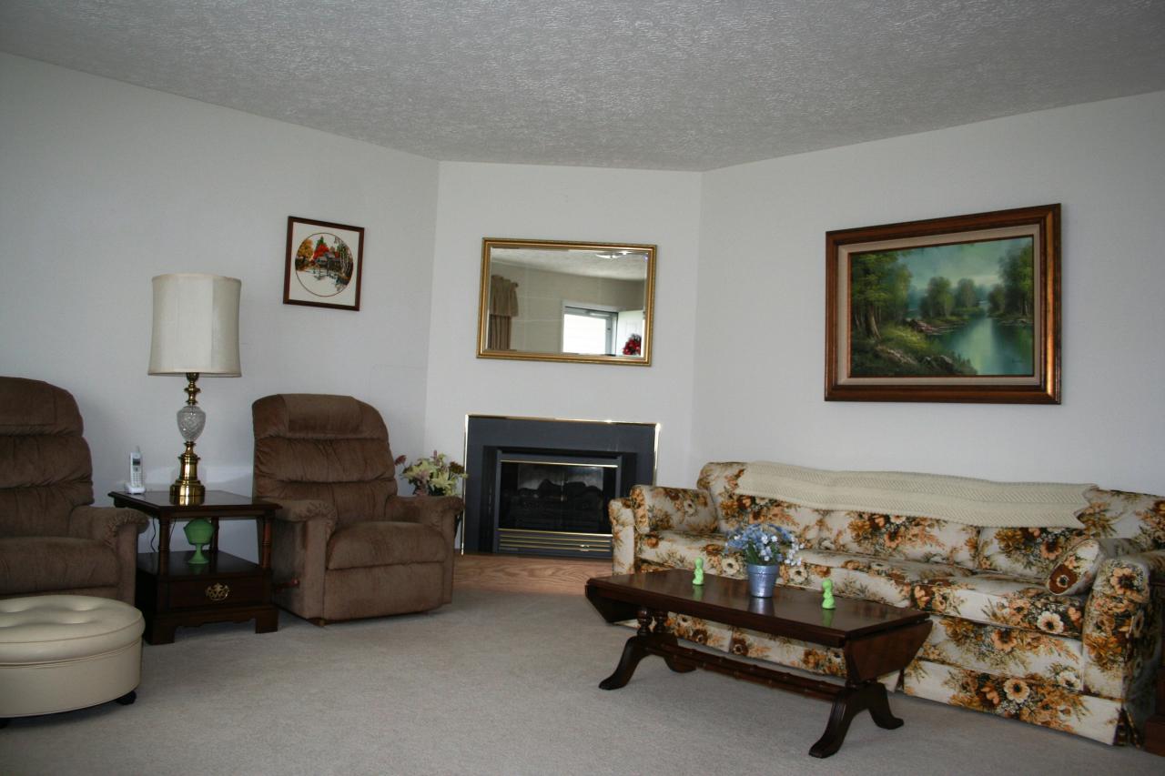 45 Village Road Lewisburg, WV 24901 - Photo 10 of 31 Gas fireplace