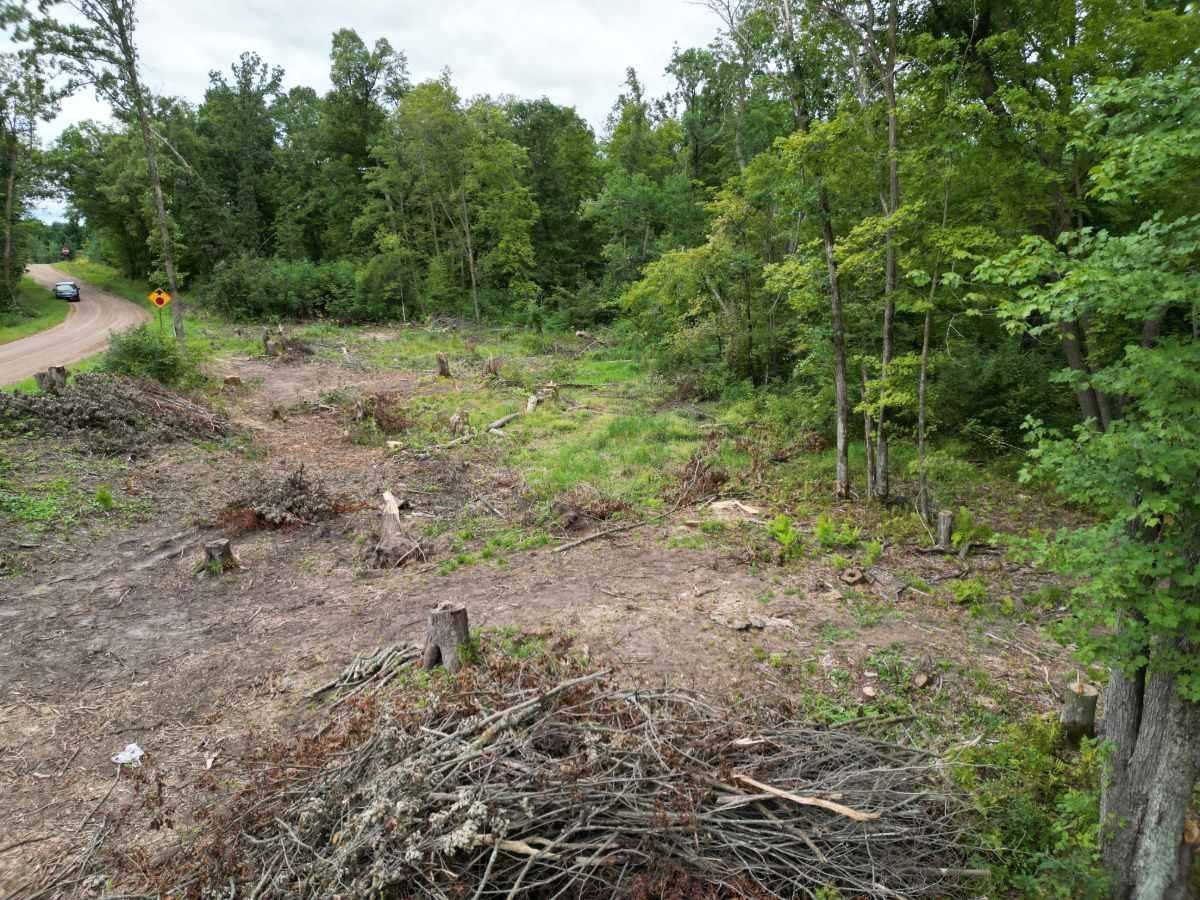 Tbd Dau Road Milltown, WI 54858 - Photo 3 of 10