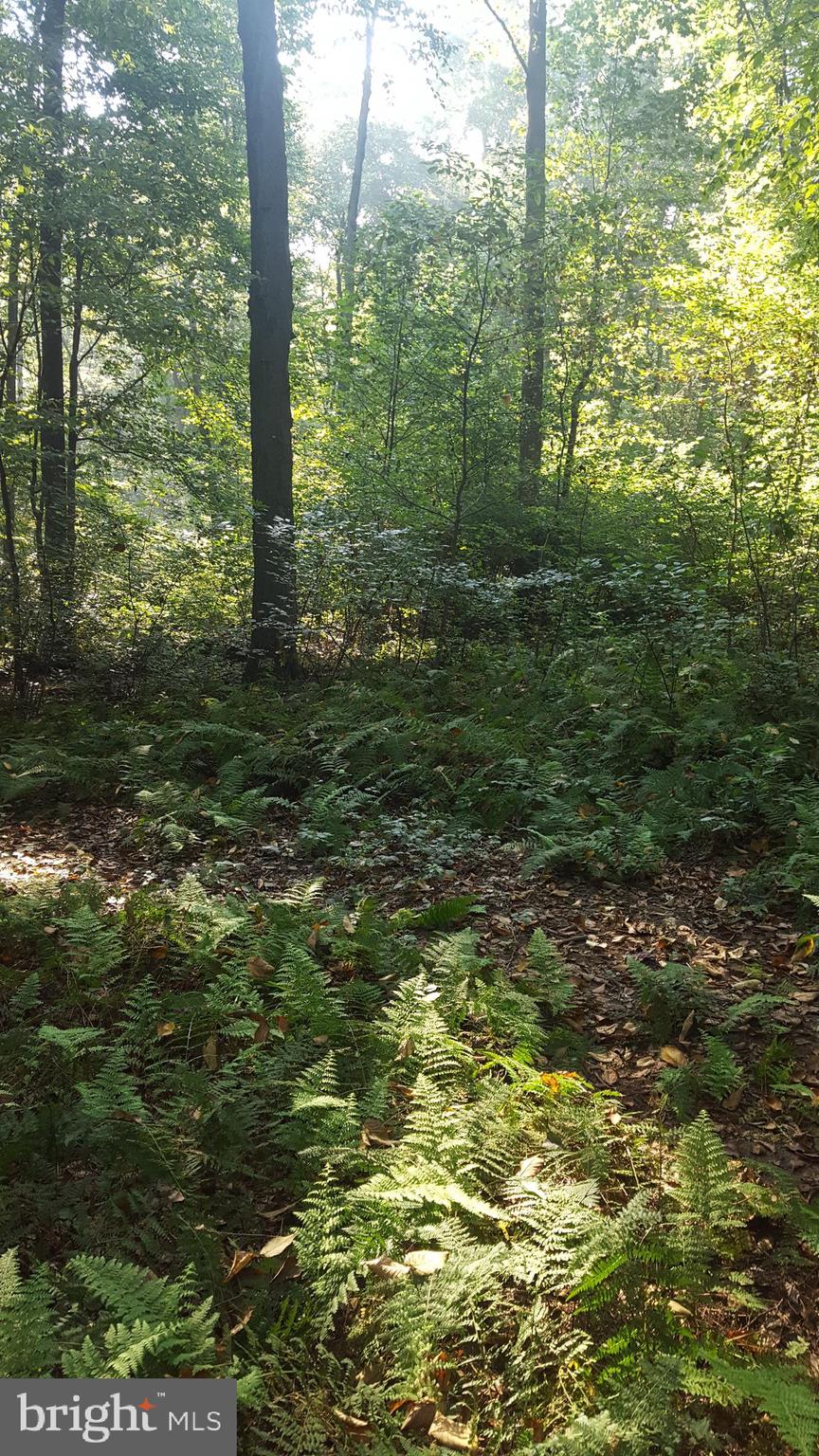 0 King Pen Road Nottingham, PA 19362 - Photo 11 of 12 Water retention plan approved