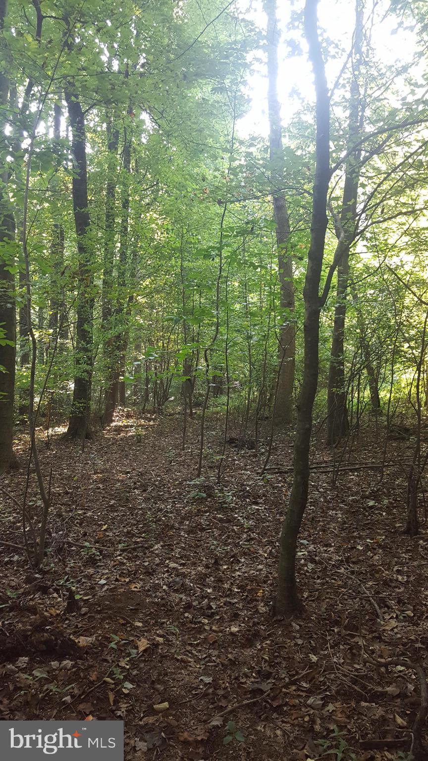 0 King Pen Road Nottingham, PA 19362 - Photo 12 of 12 Home site is staked