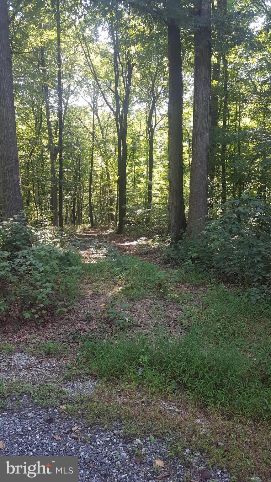 0 King Pen Road Nottingham, PA 19362 - Photo 6 of 12 driveway