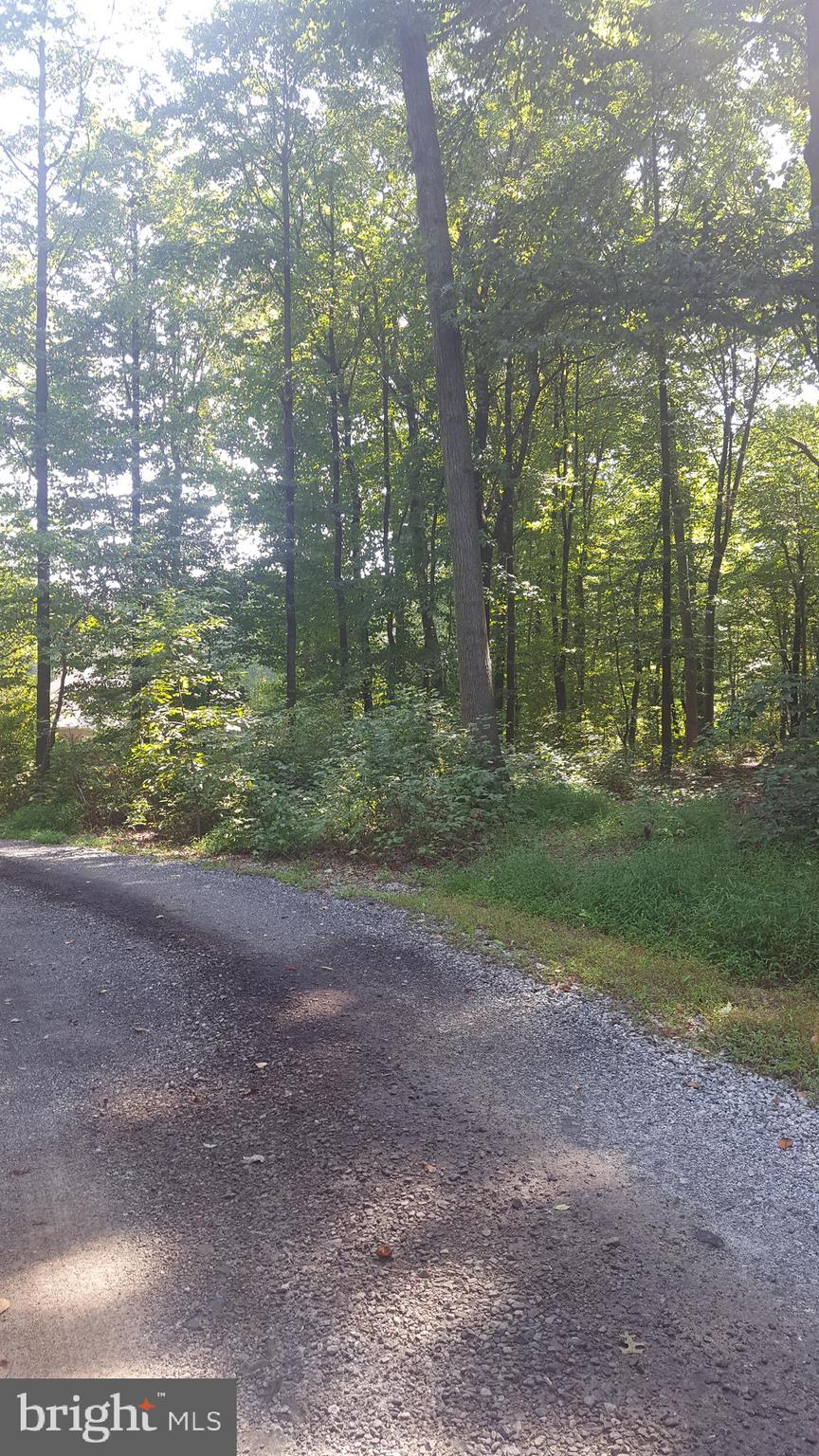 0 King Pen Road Nottingham, PA 19362 - Photo 7 of 12 Driveway to building site