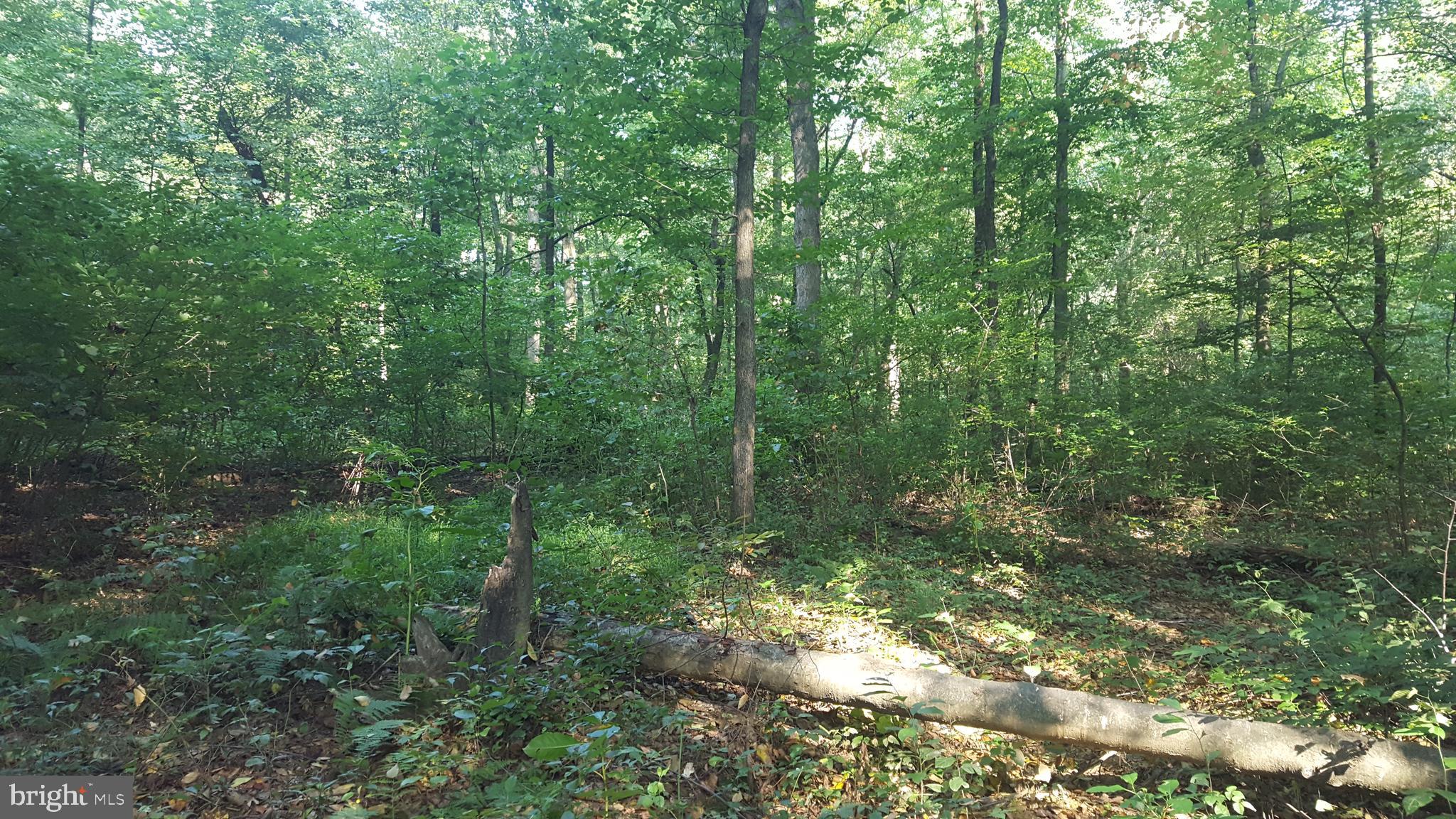 0 King Pen Road Nottingham, PA 19362 - Photo 8 of 12