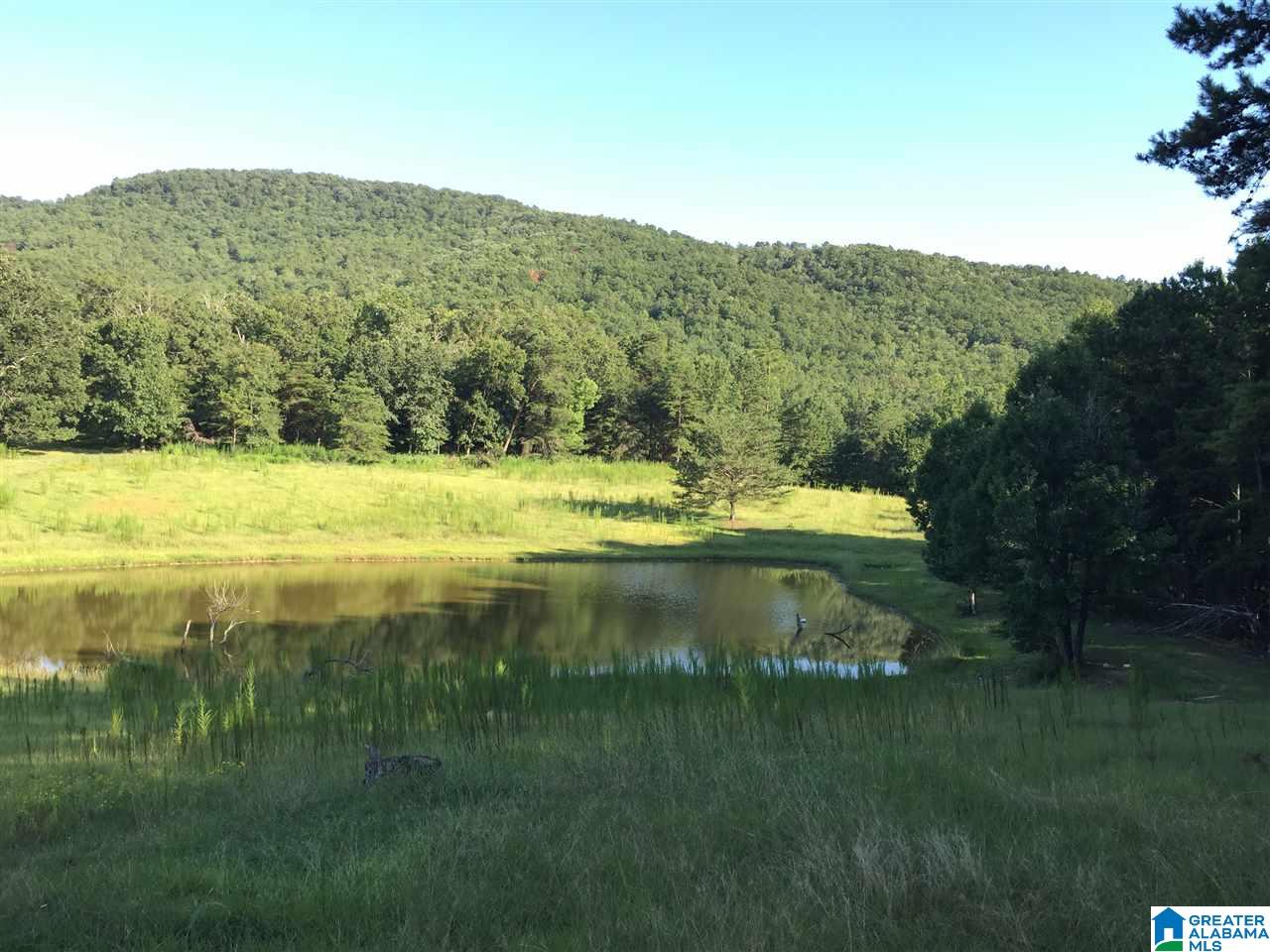 0 Valley Creek Road Piedmont, AL 36272 - Photo 18 of 28