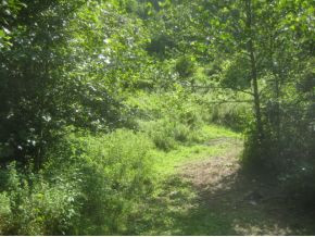 614 Blue Springs Road Elizabethton, TN 37643 - Photo 6 of 7 Photo 6