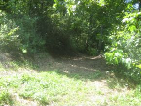 614 Blue Springs Road Elizabethton, TN 37643 - Photo 7 of 7 Photo 7