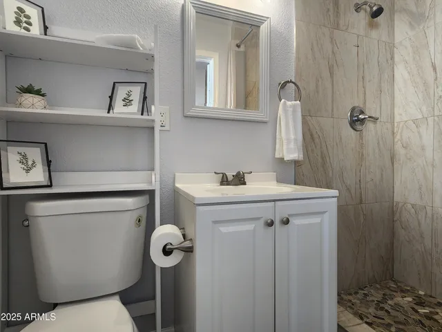 a bathroom with a sink a toilet and shower