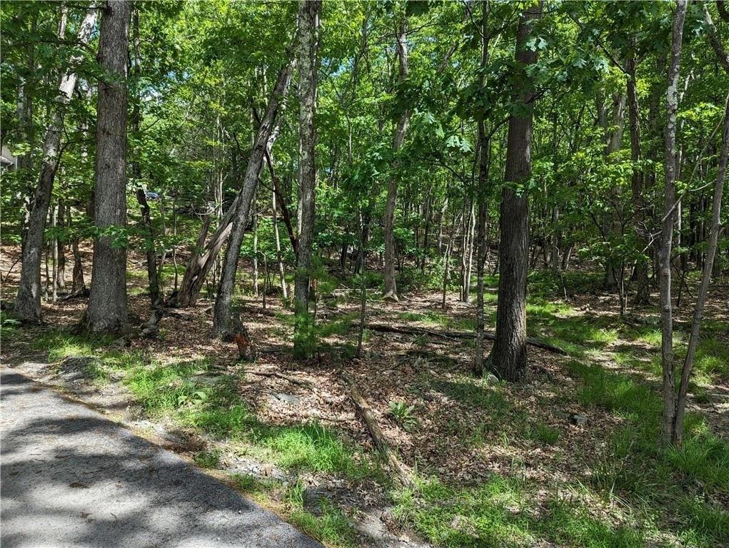 Canal Road Wurtsboro, NY 12790 - Photo 2 of 3 a big yard with lots of green space and trees