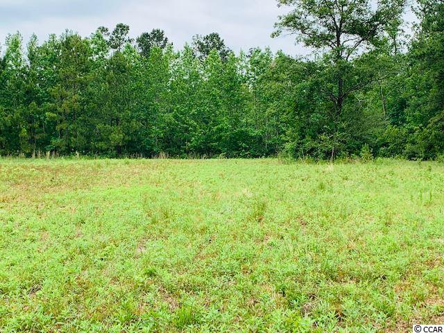 4 Red Bluff Road Loris, SC 29569 - Photo 1 of 1 Gallery Image 1