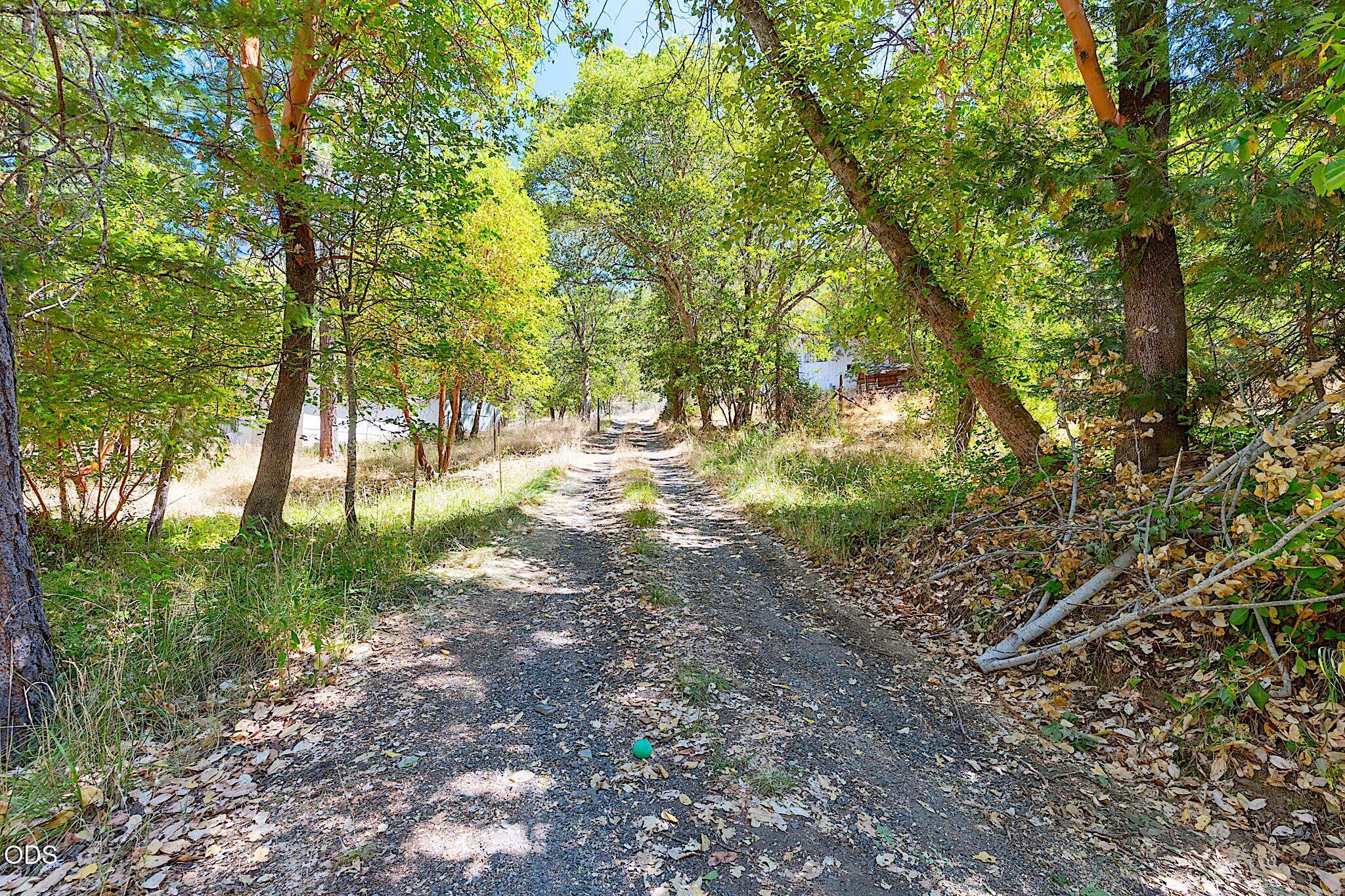 705 Murphy Gulch Road Rogue River, OR 97537 - Photo 46 of 77