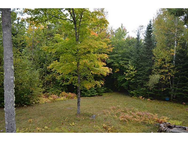Yard/Garden.